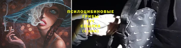 экстази Вяземский